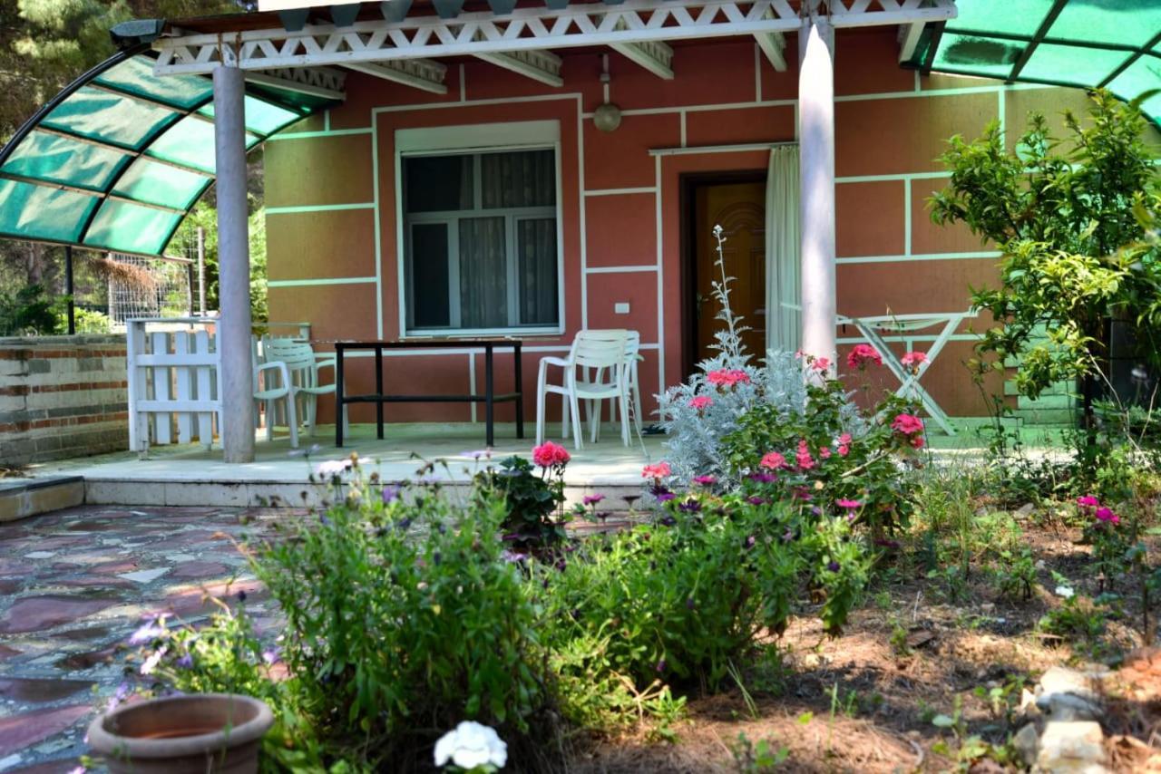 Villas Apartments Shahaj فلورا المظهر الخارجي الصورة