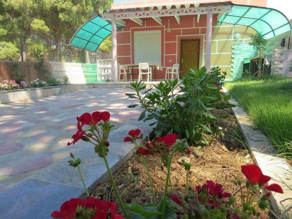 Villas Apartments Shahaj فلورا المظهر الخارجي الصورة