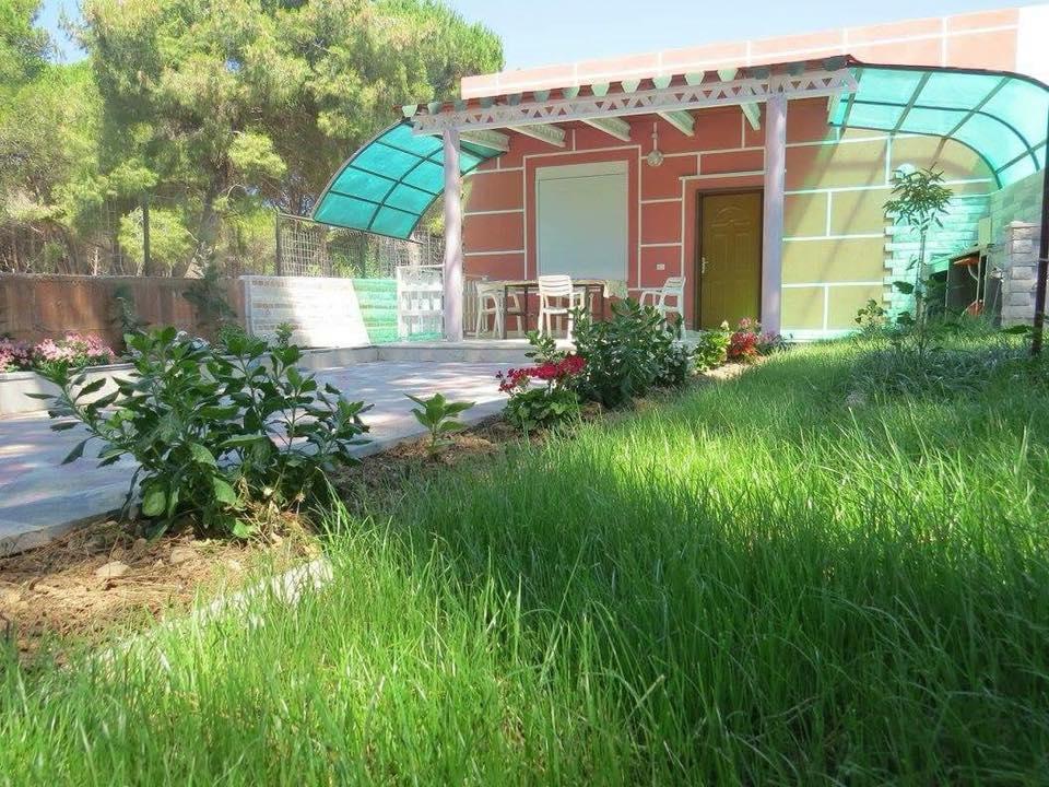 Villas Apartments Shahaj فلورا المظهر الخارجي الصورة